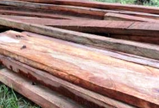 Покупка древесины через Интернет для жителя Мордовии обернулась потерей 57 тыс. рублей