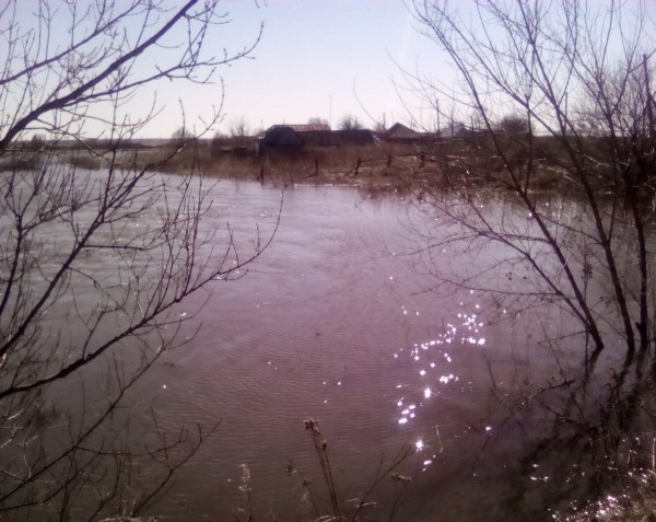 В Мордовии подъем воды наблюдается только в реке Мокша