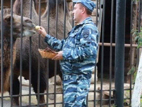 Полицейские передали урожай яблок саранскому зоопарку