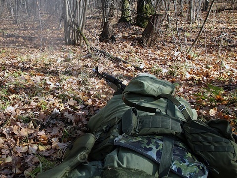 В Мордовии силовики проводят учебную контртеррористическую операцию в лесном массиве