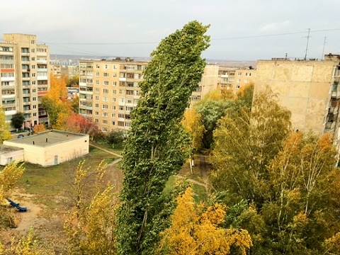 МЧС предупреждает: сильный ветер в Мордовии продлится и этой ночью