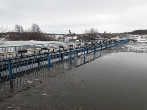 В Мордовии подтопило два низководных моста