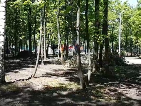 В парке Ленинского района Саранска благоустроят 25 гектаров территории