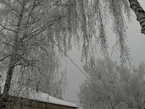 В большинстве районов Мордовии отменены занятия в школах из-за морозов