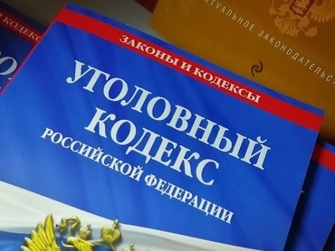 Житель Рузаевки, который на глазах у малолетнего ребенка изувечил щенка, предстанет перед судом