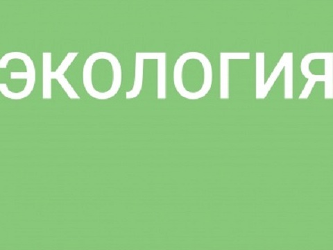 Мордовия закупит лесопожарную и лесохозяйственную технику на 12,1 млн рублей в рамках нацпроекта