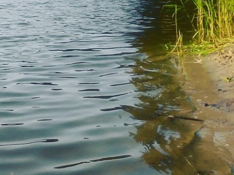 В Мордовии двое мужчин перевернулись на лодке, один погиб