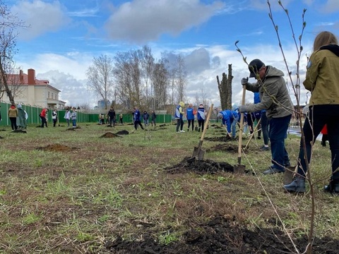 В Октябрьском районе Саранска проходит акция «Сад памяти»