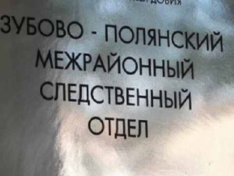 Установлена причина смерти новорожденной в Зубово-Полянской больнице Мордовии