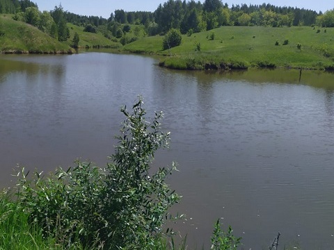 На Лесном озере в Саранске матрос-спасатель спас подростка