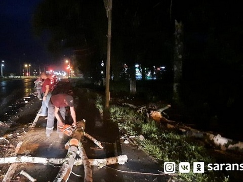 В Саранске ликвидируют последствия шквалистого ветра