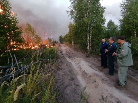 Прокуратура Мордовии: фронт неконтролируемого горения в заповеднике составил 450 га