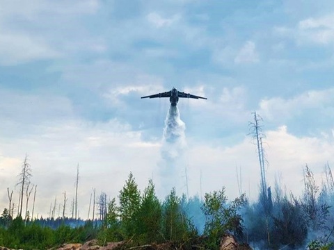 Сильный ветер осложнил работу по ликвидации пожара в Мордовском заповеднике