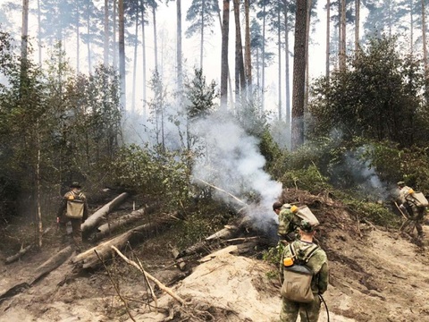 Росгвардии удалось оперативно локализовать очаги лесного пожара на территории Нижегородской области