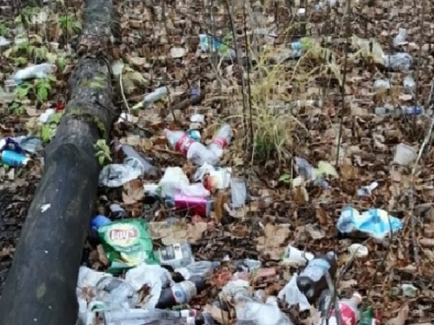 В Мордовии прокуратура требует ликвидировать свалку бытовых отходов на берегу реки Аморда