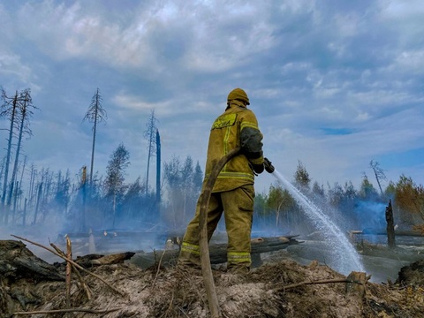 В лесах Мордовии и Нижегородской области действует режим межрегиональной ЧС с федеральным уровнем реагирования
