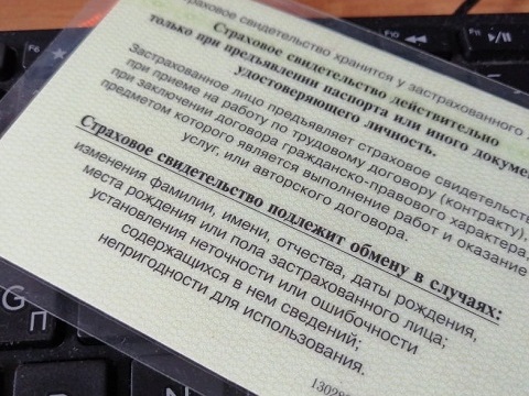 В текущем году в Мордовии открыто около 3,5 тыс. СНИЛС на новорожденных