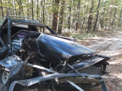 Двое подростков в Мордовии врезались в дерево в лесном массиве на Audi 100 Avant