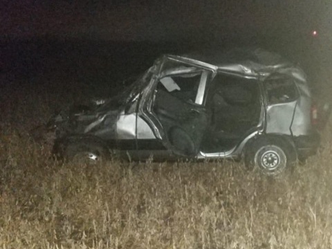 В Мордовии 57-летний водитель «Шевроле Нива» погиб, опрокинувшись в кювет