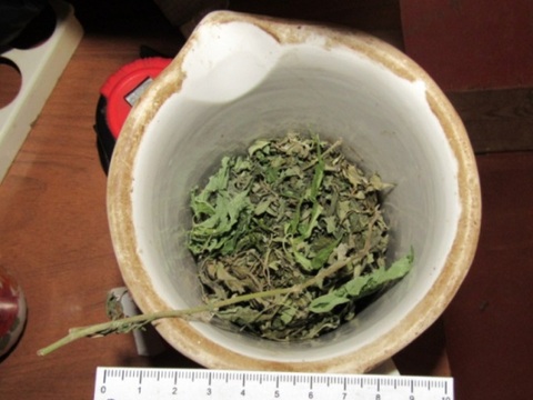 Более 200 граммов марихуаны и конопли изъяли у жителя села Аксеново