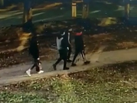 Полиция Мордовии разыскивает группу молодых людей, избивших мужчину на улице 