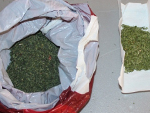 У жителя Мордовии изъяли около 50 гр. марихуаны