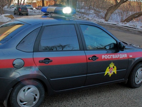 В Зубово-Полянском районе Мордовии росгвардейцы задержали пьяного водителя