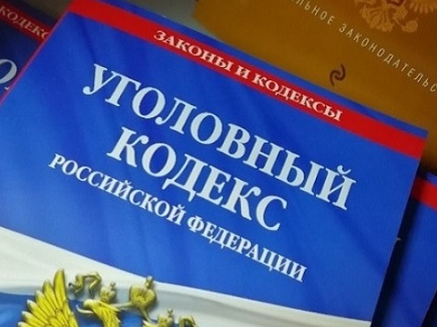 В Мордовии отец и сын привлечены к уголовной ответственности за применение насилия в отношении представителей власти