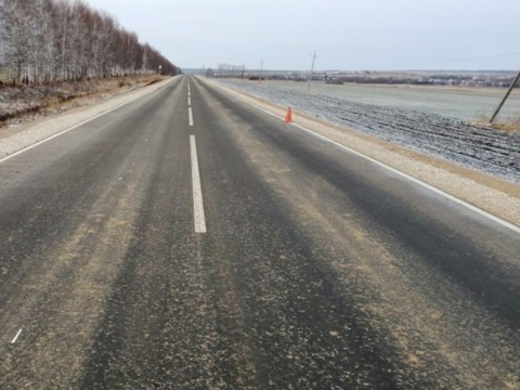 Молодой водитель погиб, опрокинувшись в кювет на «Фольксваген Пассат» в Мордовии