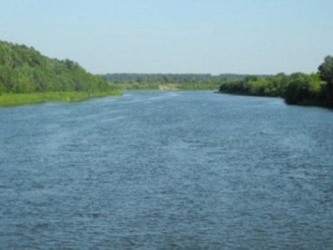 В 2021 году в Мордовии расчистили 9,8 км русла реки Мокши