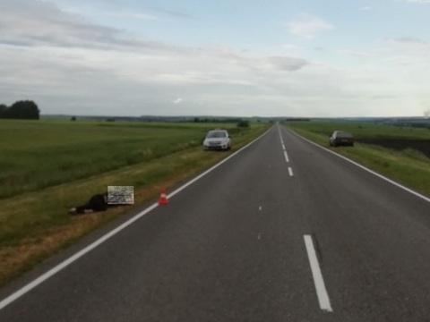 В Мордовии разыскивают водителя, скрывшегося с места смертельного ДТП