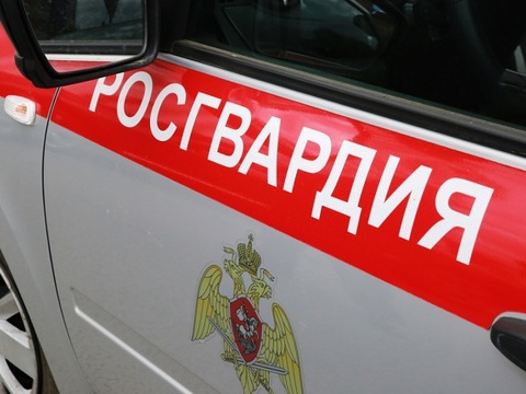 В Саранске росгвардейцы отправили в полицию нетрезвую компанию, угрожавшую убийством женщине