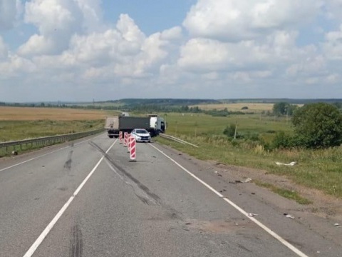 В Мордовии женщина и ребенок пострадали в столкновении Toyota Avensis с грузовиком Renault  