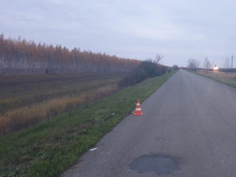 В Кочкуровском районе нетрезвый водитель «Рено Логан» опрокинулся в кювет
