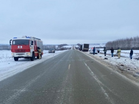 В Мордовии 21-летний водитель погиб в столкновении ВАЗ-2115 и «3037КЕ» на базе ГАЗа