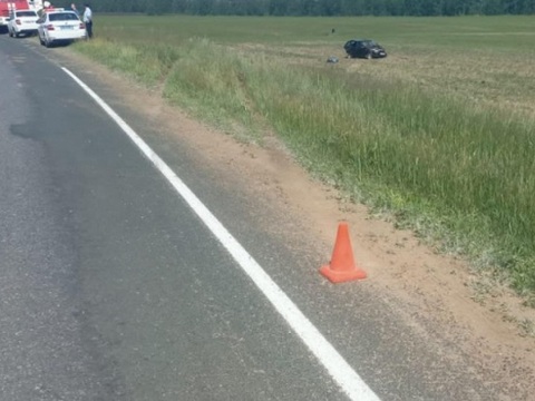 В Мордовии «Лада Калина» опрокинулась в кювет, водитель погиб