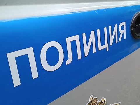 В Мордовии транспортные полицейские изъяли наркотическое средство у пассажирки поезда