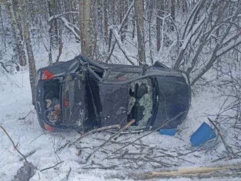 В Мордовии 60-летний водитель разбил «Рено Логан», получив травмы месте со своей пассажиркой