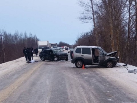 Renault SR и Chevrolet Niva столкнулись в Мордовии, погибла женщина