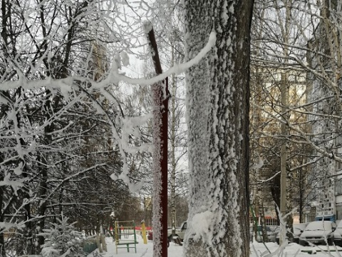 В Мордовии - похолодание, ожидаются метель и гололедица 