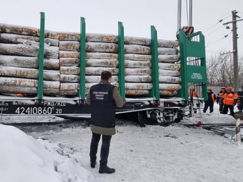 В Мордовии выясняют причины схода с рельсов грузового вагона с лесоматериалами 