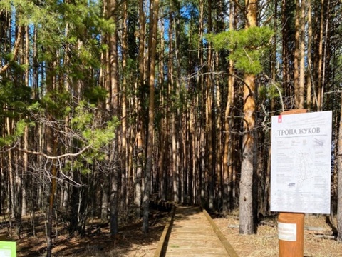 В национальном парке «Смольный» в Мордовии откроется Тропа Жуков