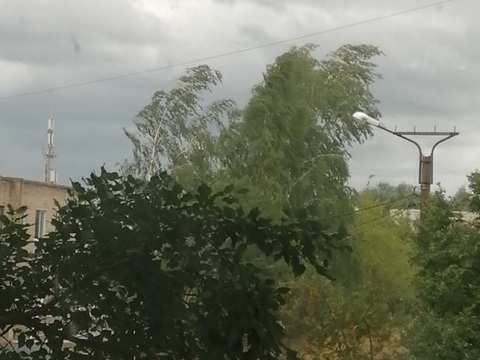 21 июня в Мордовии могут пройти грозы с порывами ветра до 15-20 м/с