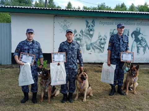 Специалисты-кинологи со служебными собаками соревновались в многоборьбе в Мордовии 