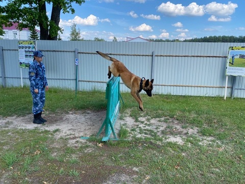 В Учебном центре УФСИН по Мордовии выбрали лучшую служебную собаку