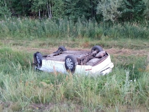 В Мордовии из-за собаки в ДТП пострадала женщина