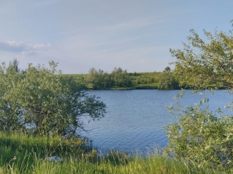 На реке Пикша в Мордовии задержали двух браконьеров, ловивших рыбу бреднем