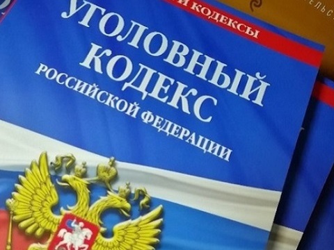 Житель Мордовии лишился 58 тыс. рублей при покупке ошейника для собаки