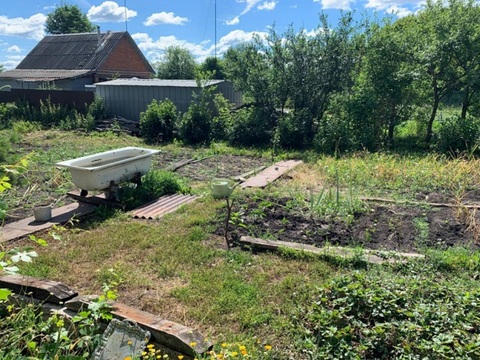 В огороде жителя Мордовии обнаружили 55 кустов конопли