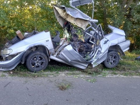 В Мордовии ВАЗ-211440 врезался в дерево: один человек погиб, двое пострадали